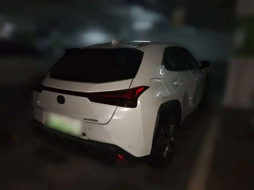 Lexus UX Electric 2021 2020 300e Pure Yue Edition