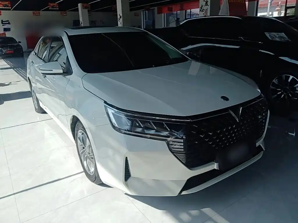 2024 Venucia D60