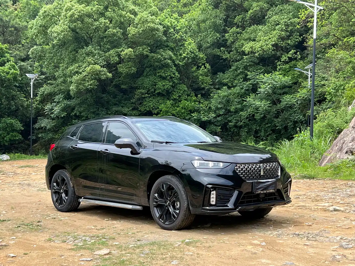 2021 WEY VV7