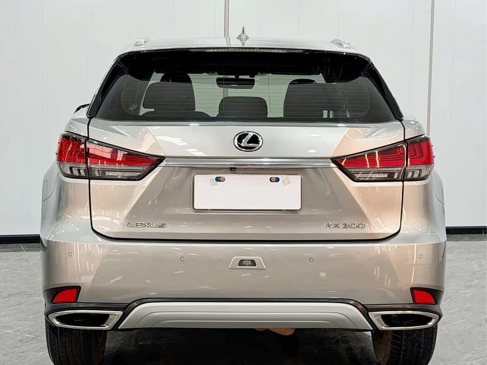Фото 5 - Lexus RX