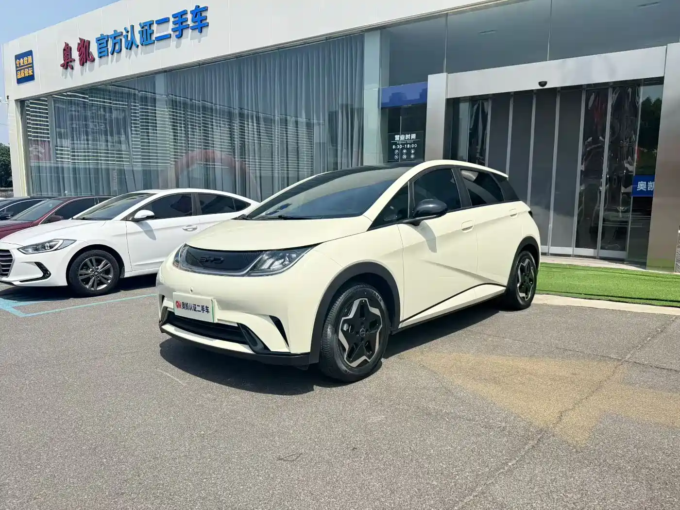 BYD Dolphin 2021 Model 405km Fashion Edition