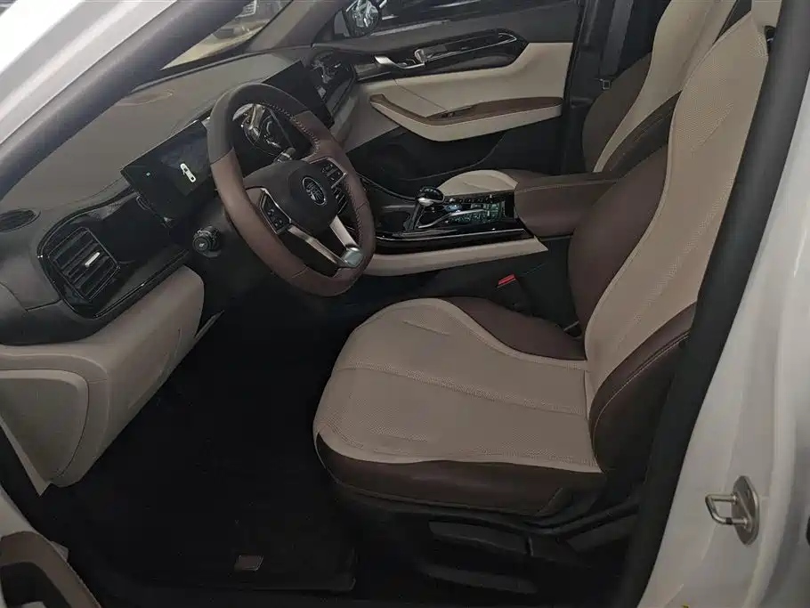 BYD Qin PLUS 2024 Glory Edition DM-i 55KM Leading фото 9