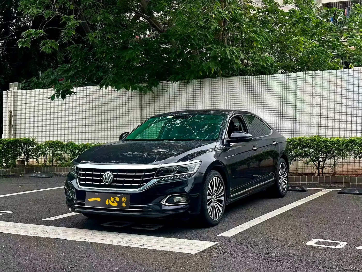 Volkswagen Passat 2019 330TSI Luxury Edition China VI