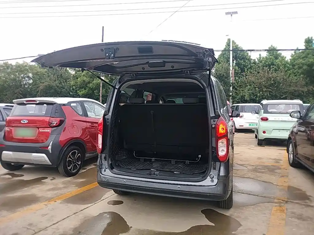 Фото 19 - Wuling Motors Wuling Hongguang New Energy