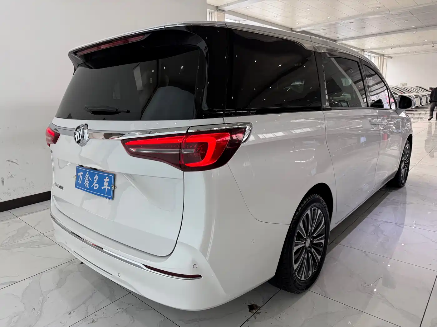 Buick GL8 2022 ES Landmark 653T Luxury фото 21