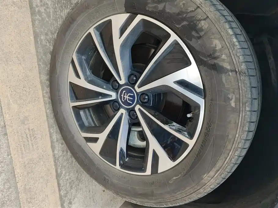 BYD SONGJIANG NEW ENERGY