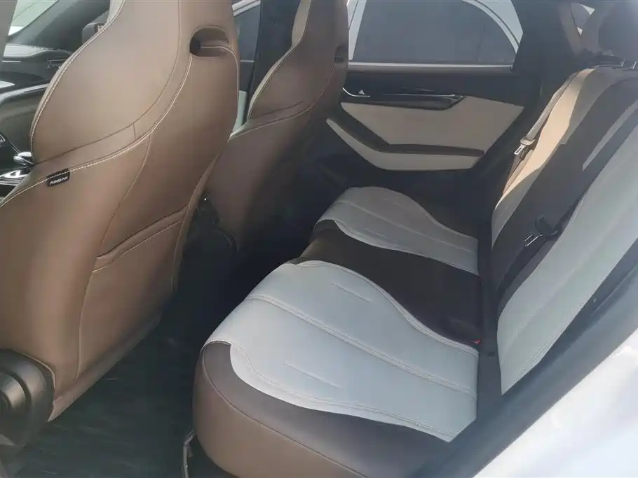 BYD Qin PLUS 2023 Champion Edition DM-i 55KM Leading фото 11