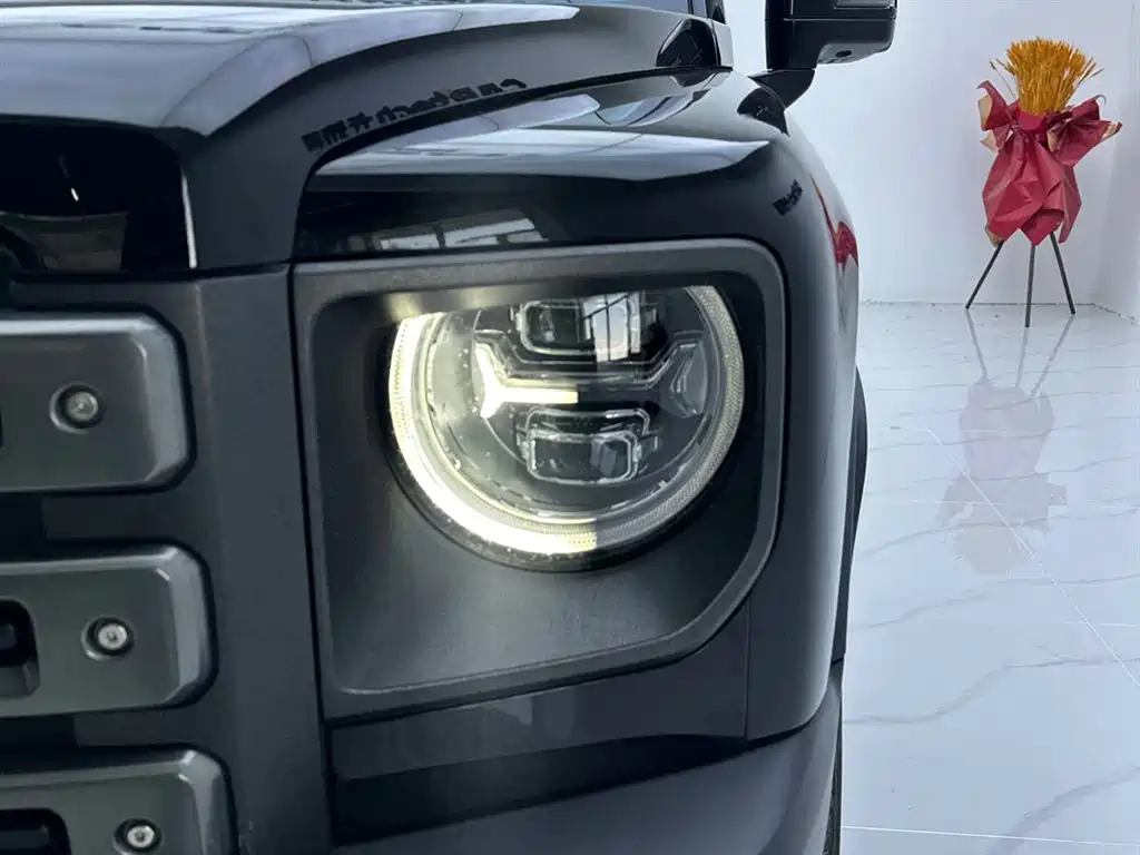 HAVAL RAPTORS NEW ENERGY