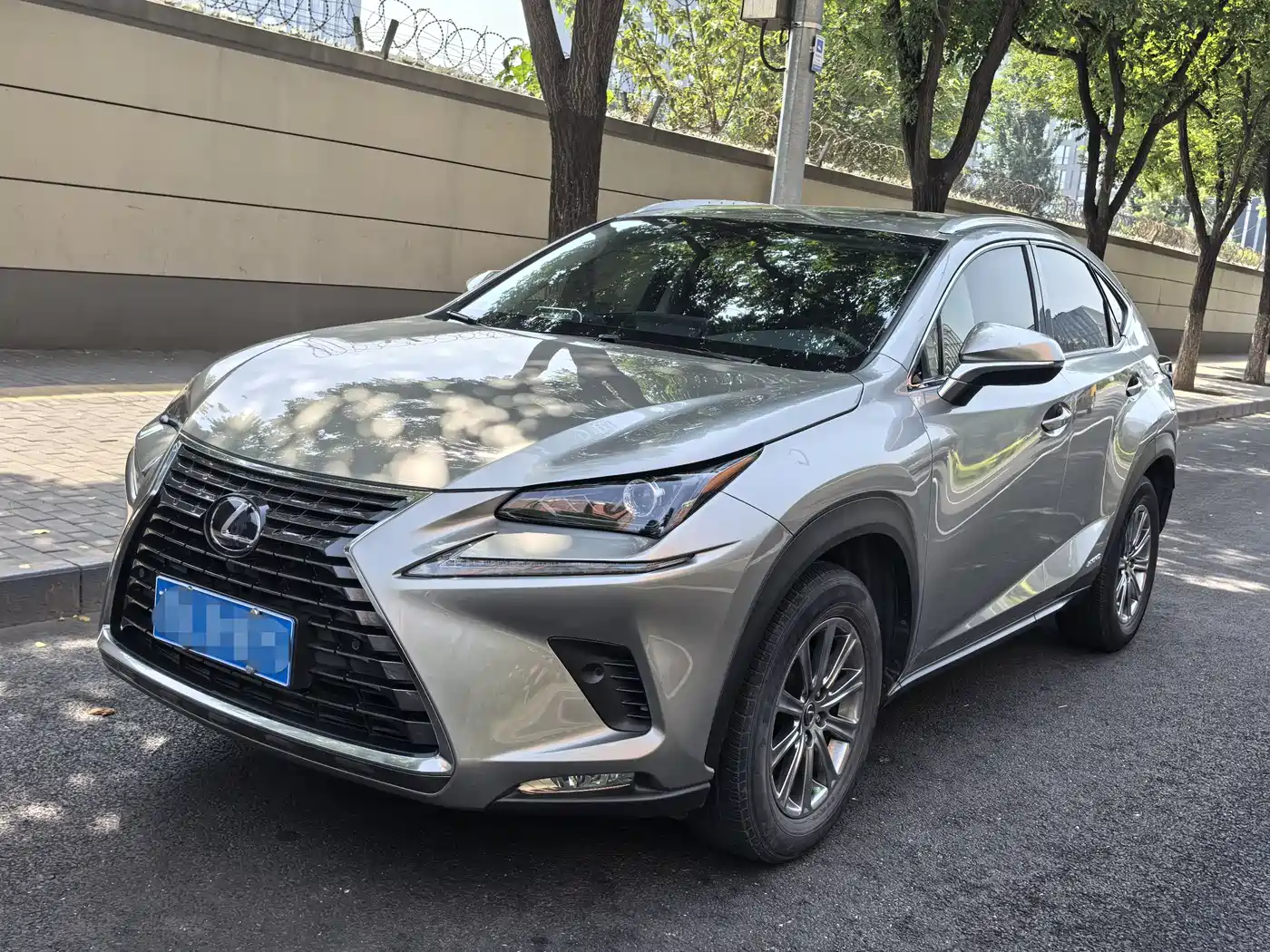 Lexus NX 2020 300h FWD F Sport China V