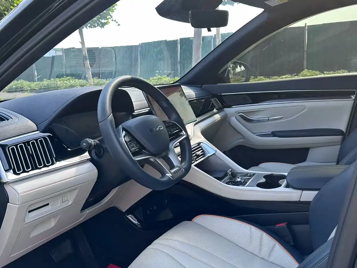 BYD Song PLUS PHEV 2024 Glory Edition DM-i 110km Flagship фото 5