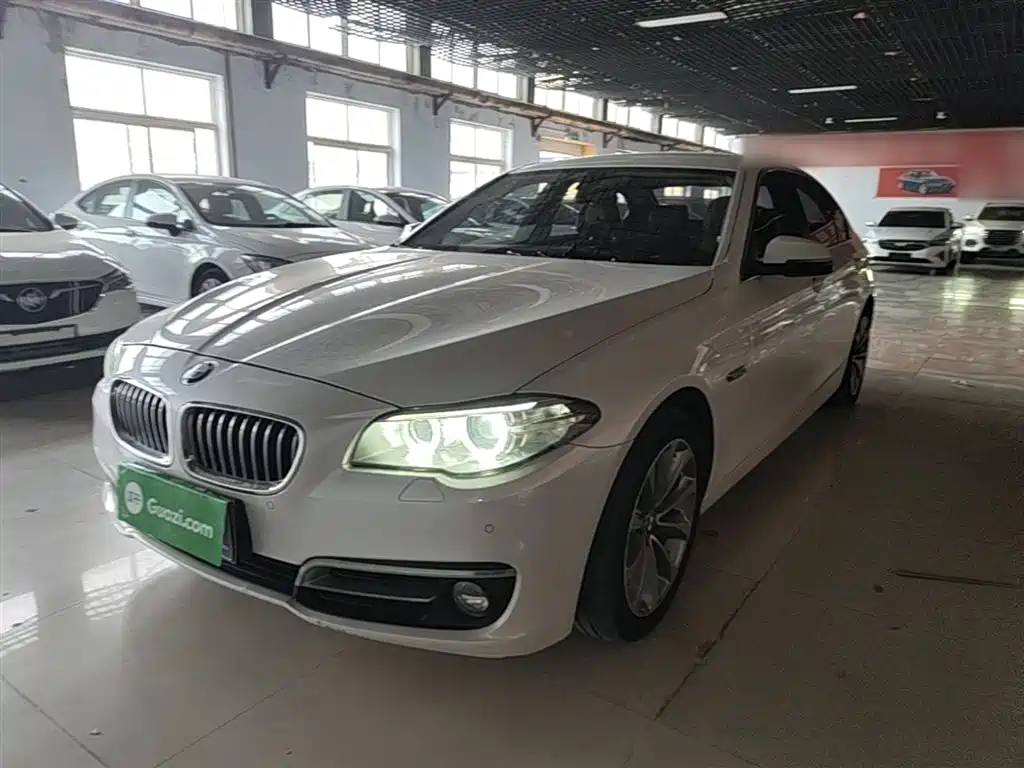 BMW 5 Series 2014 520Li Elegance