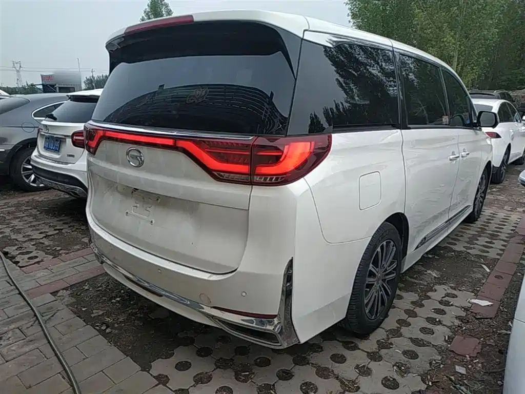 GAC Trumpchi Trumpchi M8 2021 Leading Show Series 390T Ultimate Edition фото 5