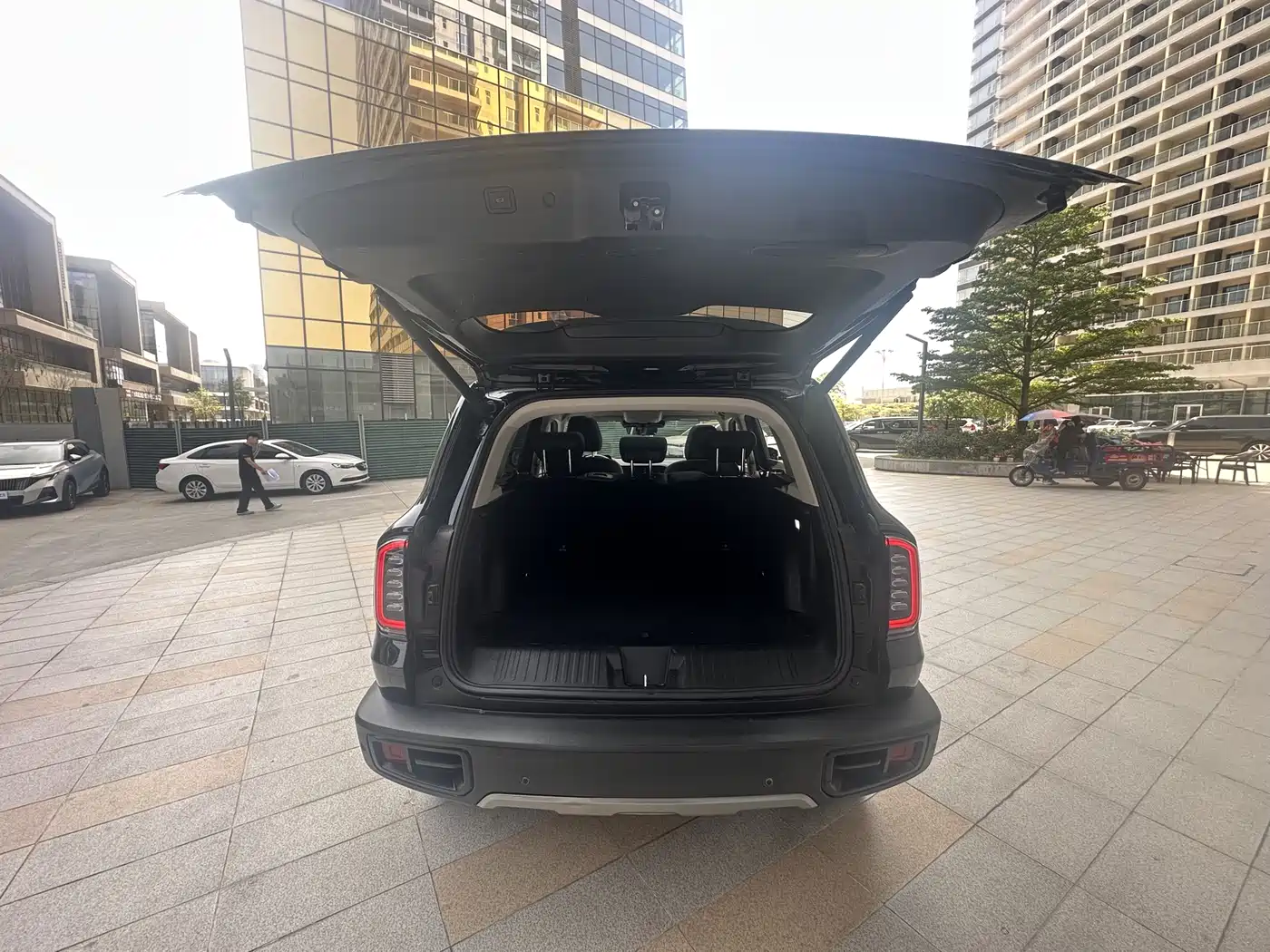 HAVAL BIG DOG
