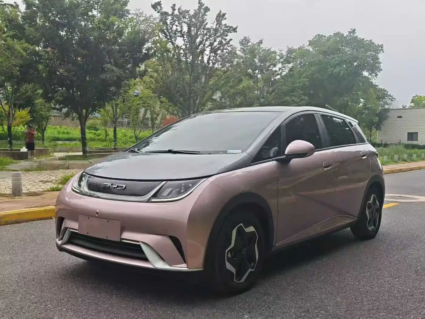 BYD Dolphin 2021 Model 405km Fashion Edition