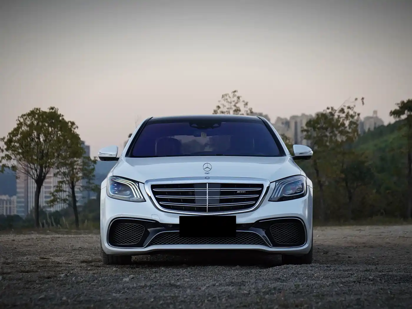 Mercedes-Benz S-Class AMG 2014 AMG S 65 L фото 2