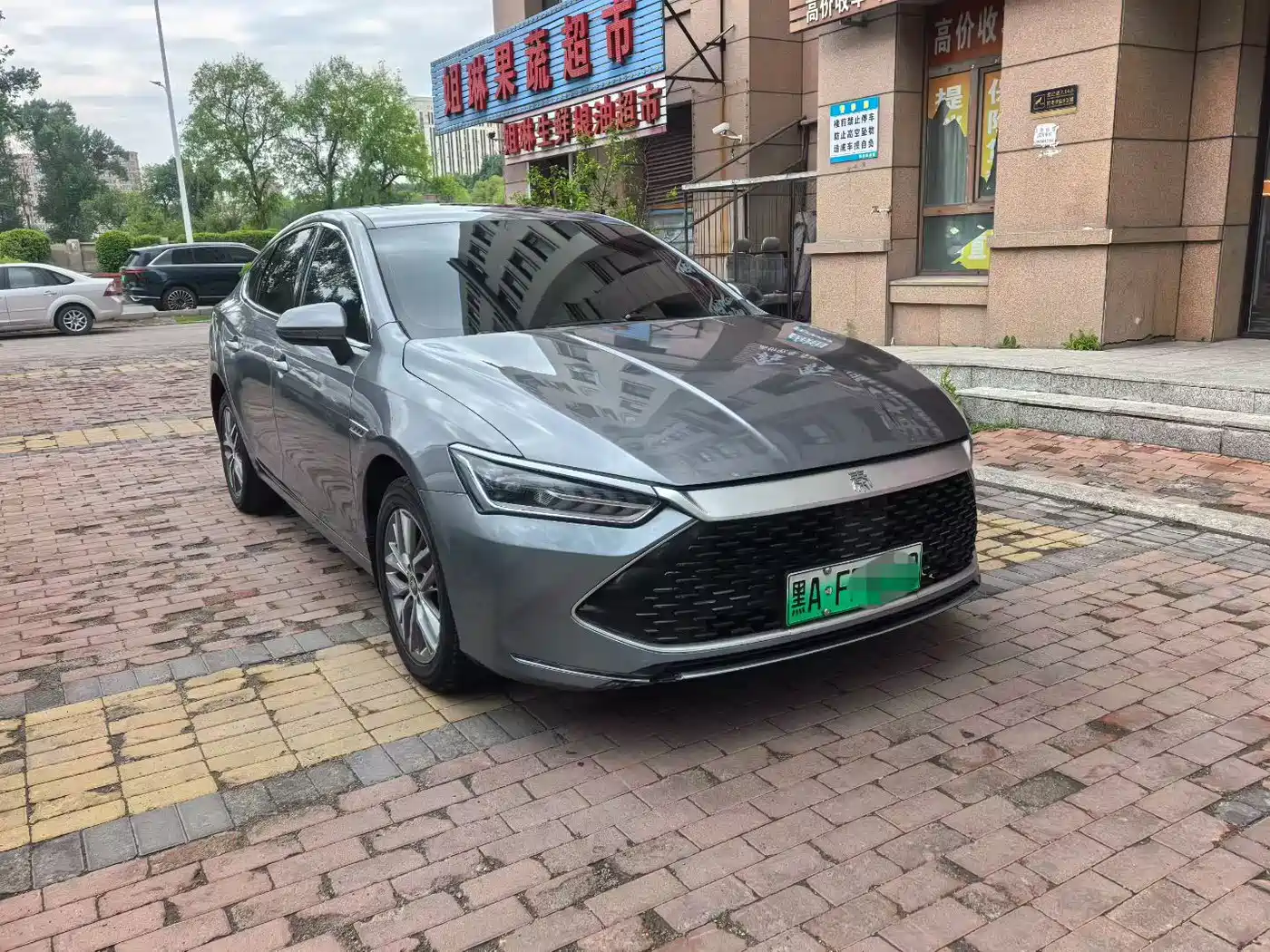 BYD Qin PLUS 2023 Champion Edition DM-i 120KM Leading Type фото 3