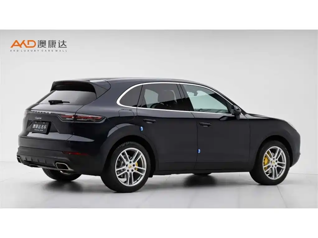 Porsche Cayenne 2022 Cayenne 3.0T Platinum Edition фото 3