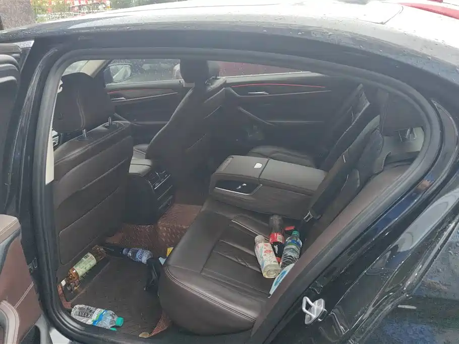 BMW 5 Series 2020 530Li Leading M Sport Package фото 11