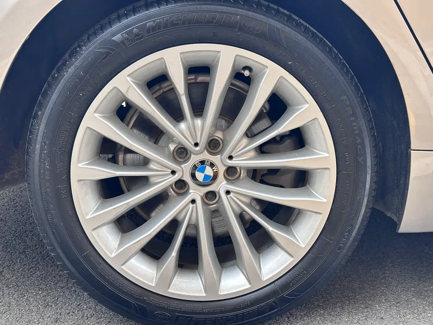 BMW 5 Series 2019 530Li Leading Luxury Package фото 6