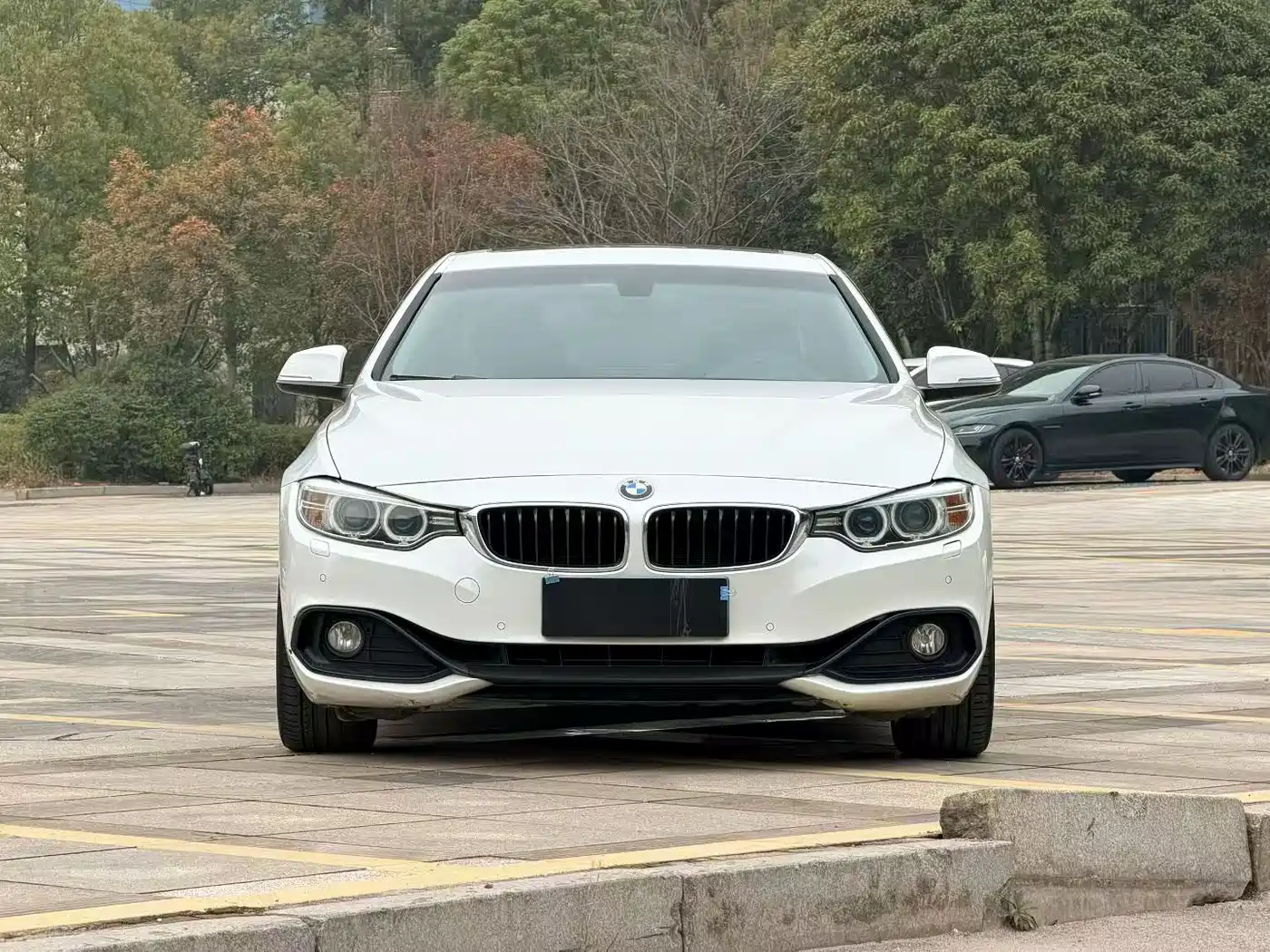 BMW 4 Series 2016 420i Design Package фото 2