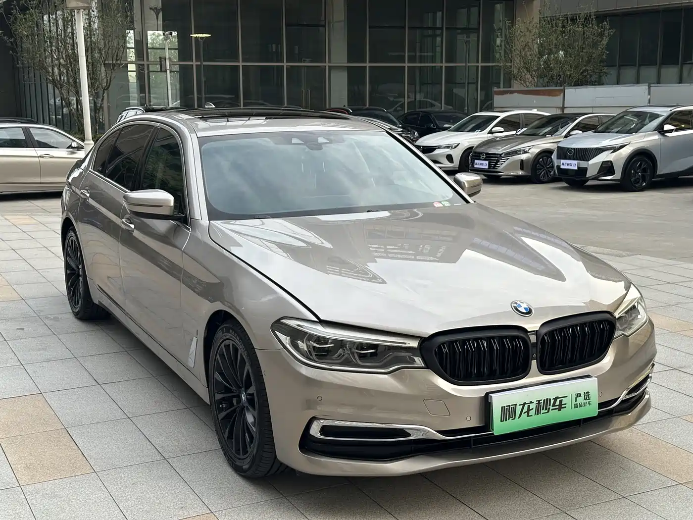 BMW 5 Series New Energy 2019 Facelift 530Le Luxury Package фото 4