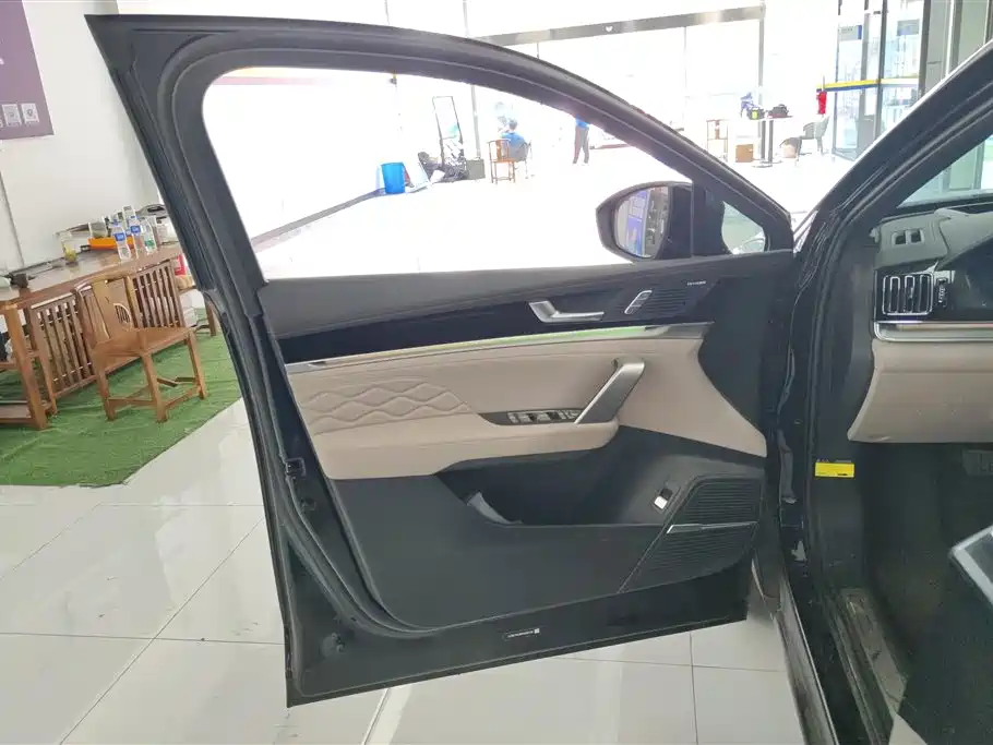 BYD Tang New Energy 2024 Model DM-i Glory Edition 112KM Flagship Type фото 7