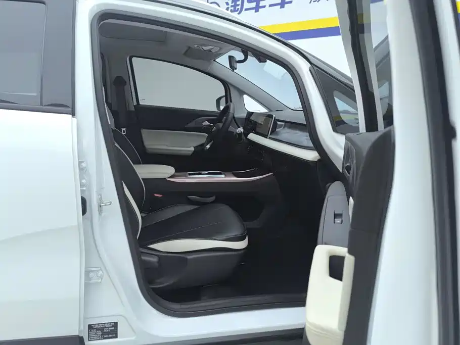 Geely Geometry E Firefly 2024 2024 Model 301km Starlight