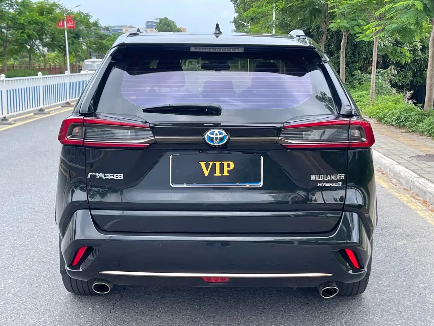 Toyota Wildlander 2024 Hybrid 2.5L E-CVT FWD Luxury PLUS Edition фото 5