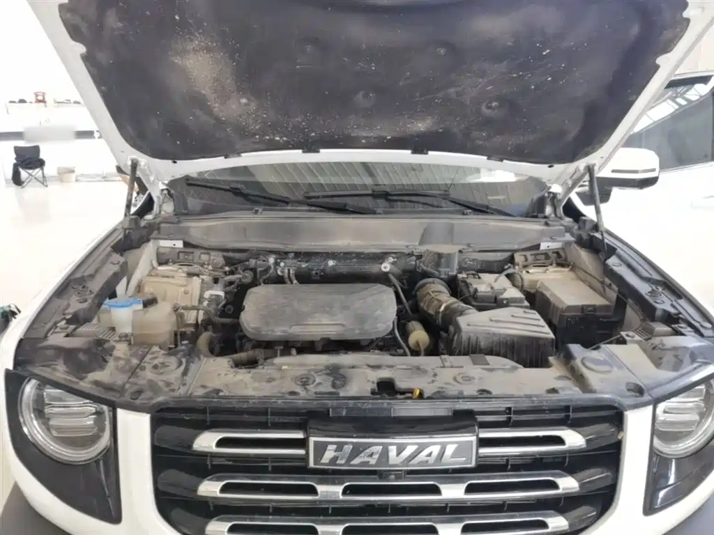 Haval Big Dog 2022 1.5T DCT FWD Border Collie Edition фото 20