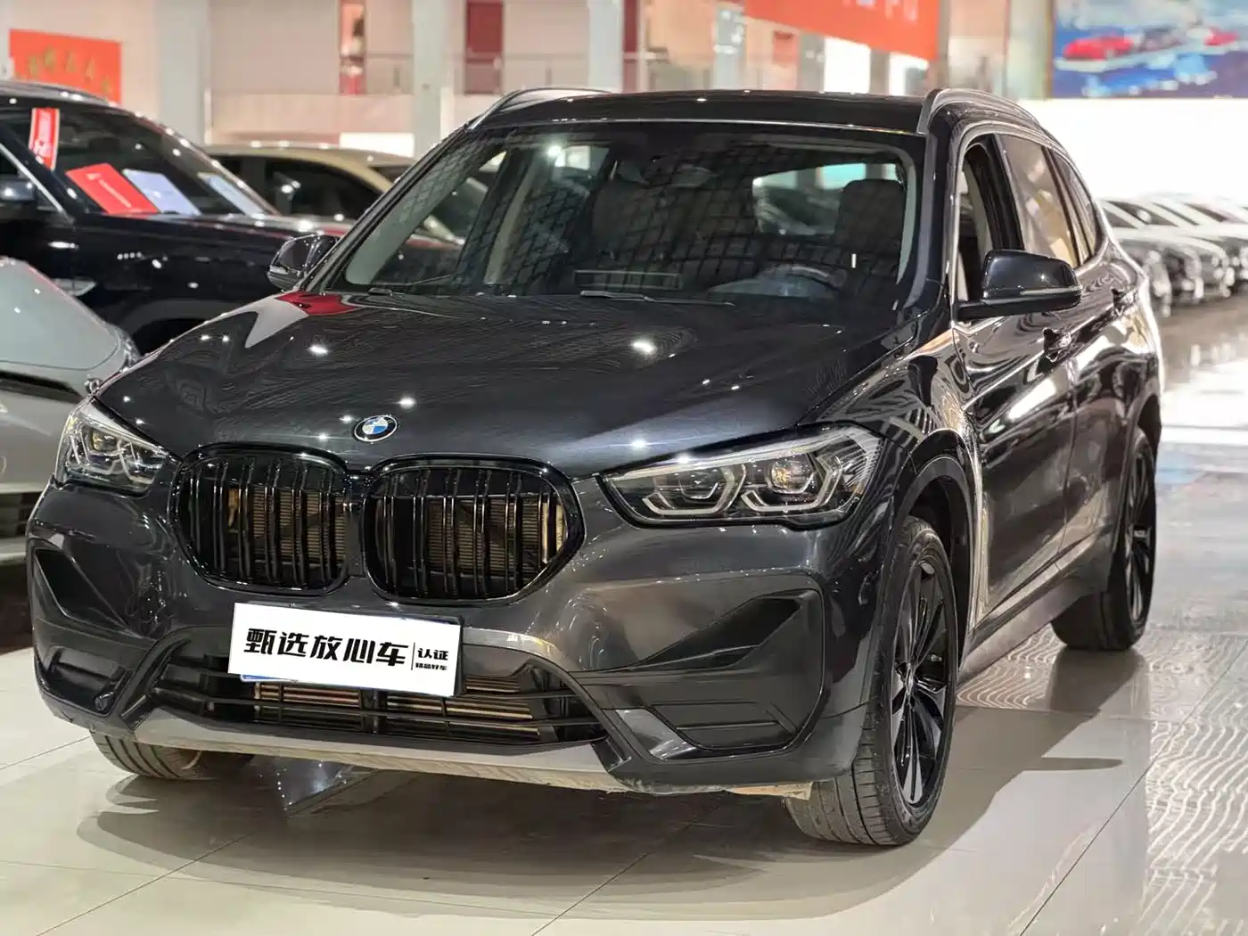 BMW X1 2020 sDrive20Li Fashion Model