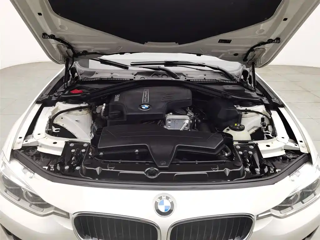 BMW 3 Series 2016 320Li Progressive фото 6