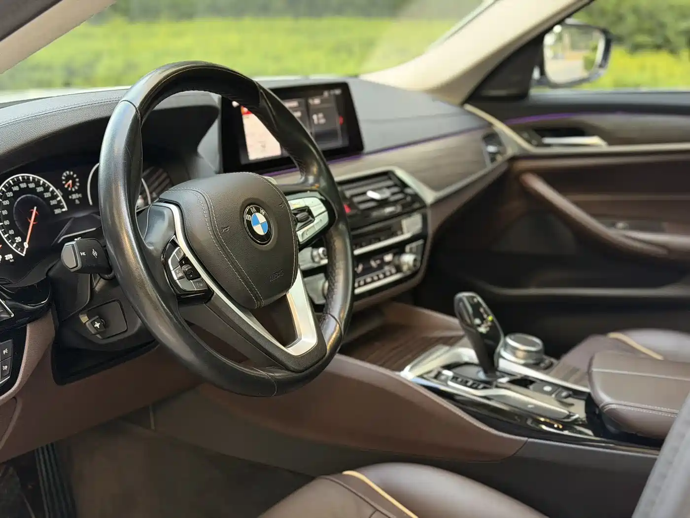 BMW 5 Series 2019 530Li xDrive Luxury Package фото 5