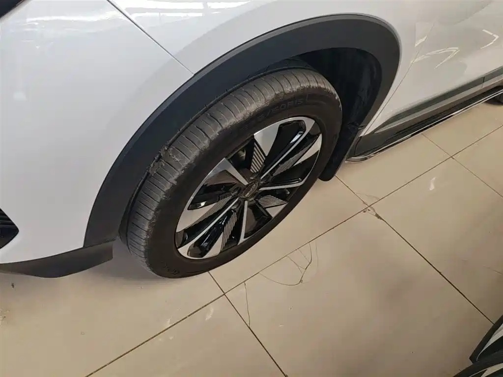 BYD Song PLUS PHEV 2025 DM-i 112KM Premium фото 23