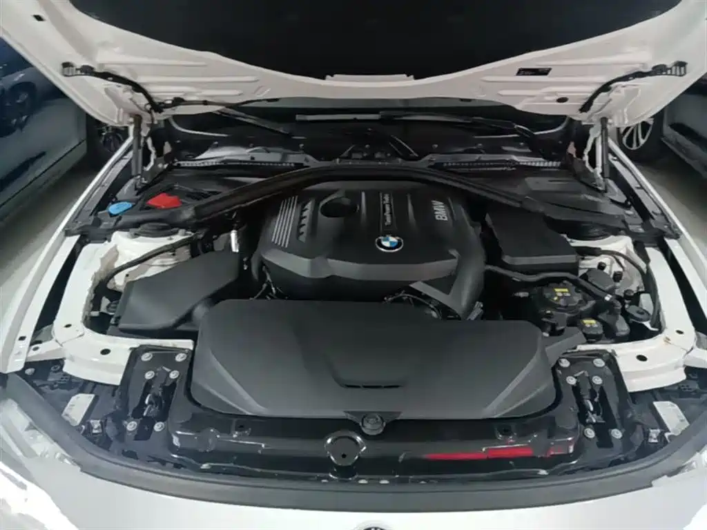 BMW 3 Series 2017 320Li M Sport фото 20