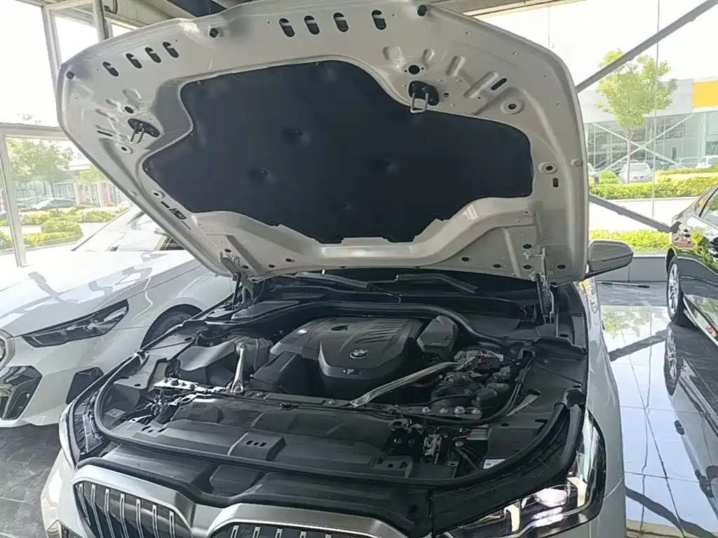 BMW 5 Series 2024 530Li xDrive M Sport Package фото 20