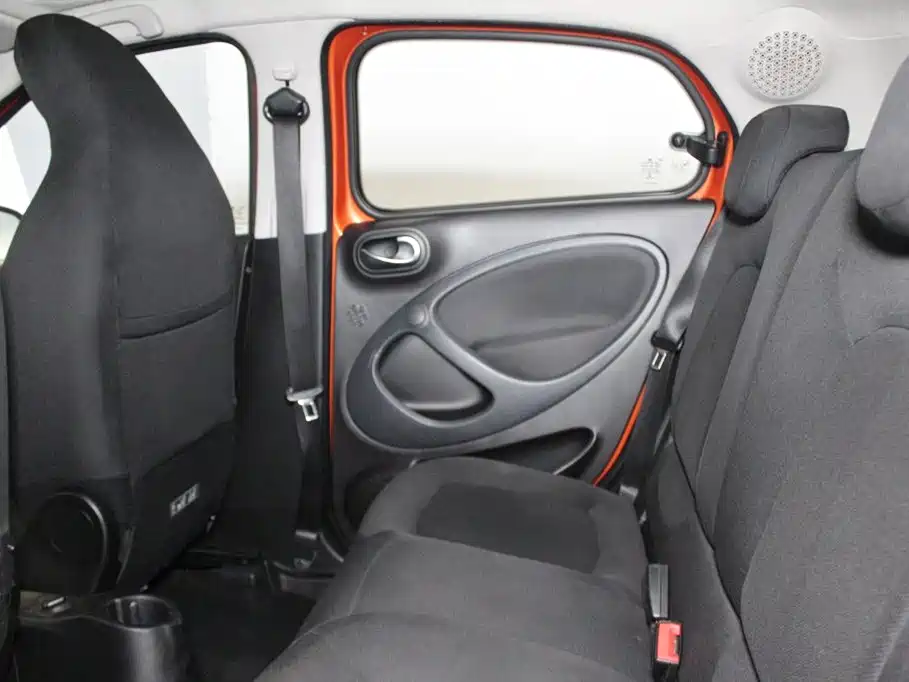 Фото 9 - smart forfour