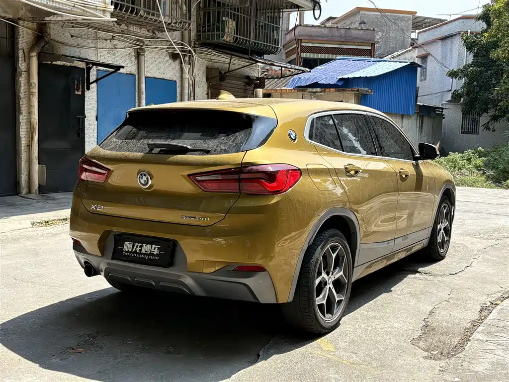 BMW X2 (Import) 2019 sDrive20i M Off-Road Package China VI фото 9