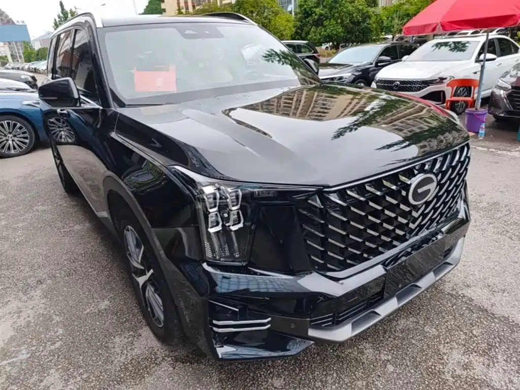 GAC Trumpchi Trumpchi GS8 2022 Pilot Series 2.0TGDI 2WD Luxury Smart Connect Edition (7-Seater) фото 4