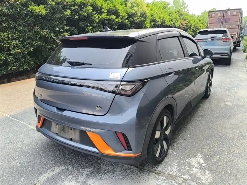BYD Dolphin 2023 401km Knight Edition фото 7