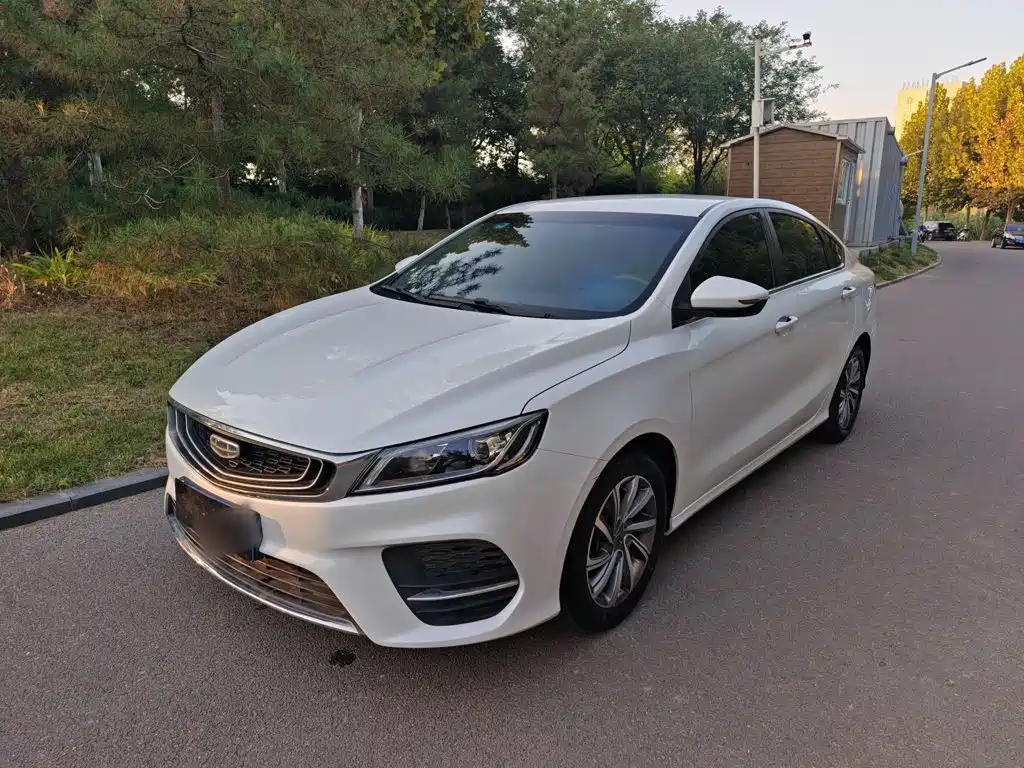 Фото 1 - Geely Binrui