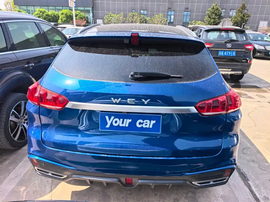 WEI PAI WEI BRAND VV5