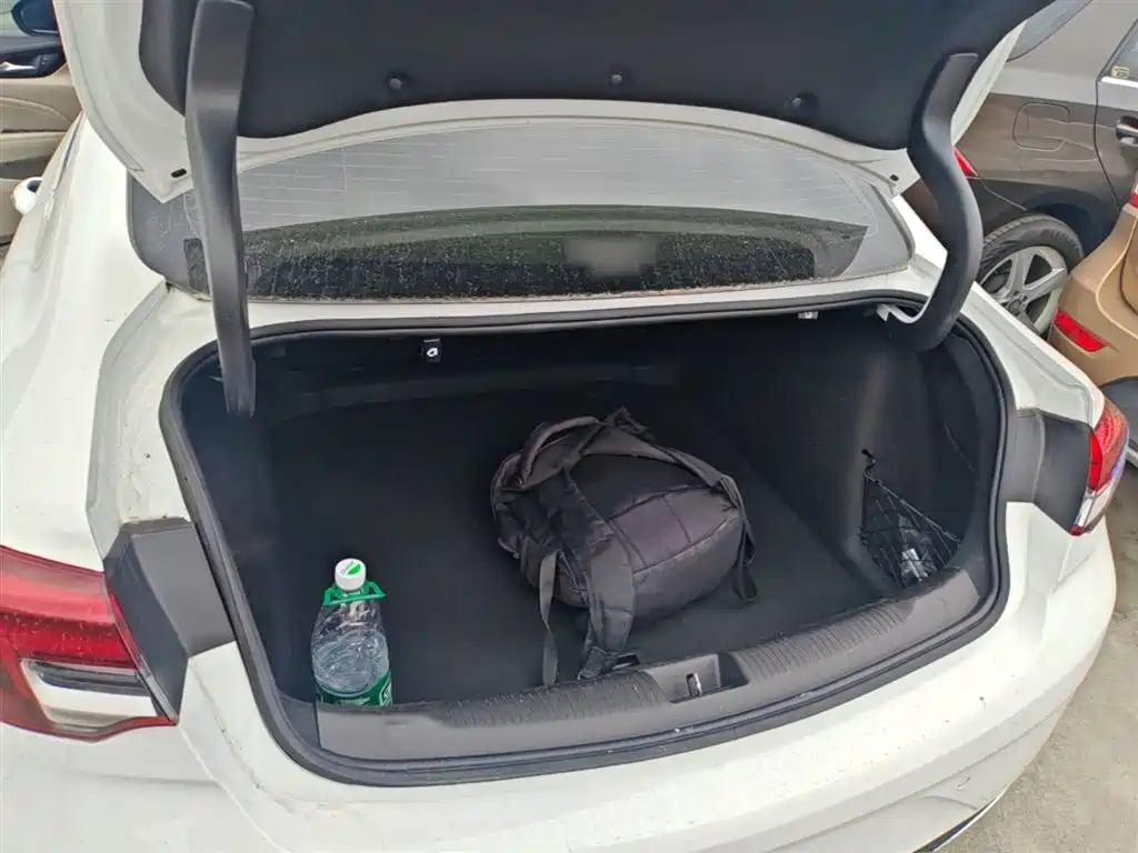 Buick Regal 2020 552T Elite фото 19