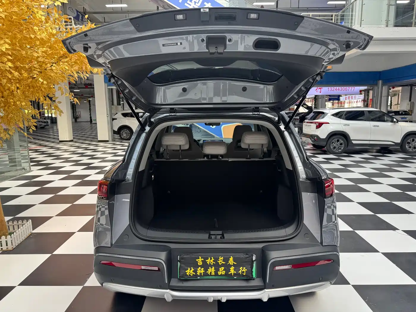 BYD Yuan UP 2026 2025 Smart Drive Edition 401KM Vitality Version
