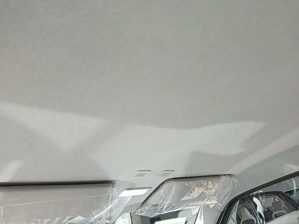 Geely Galaxy Panda 2026 2025 Panda mini 210km Vitality Bear
