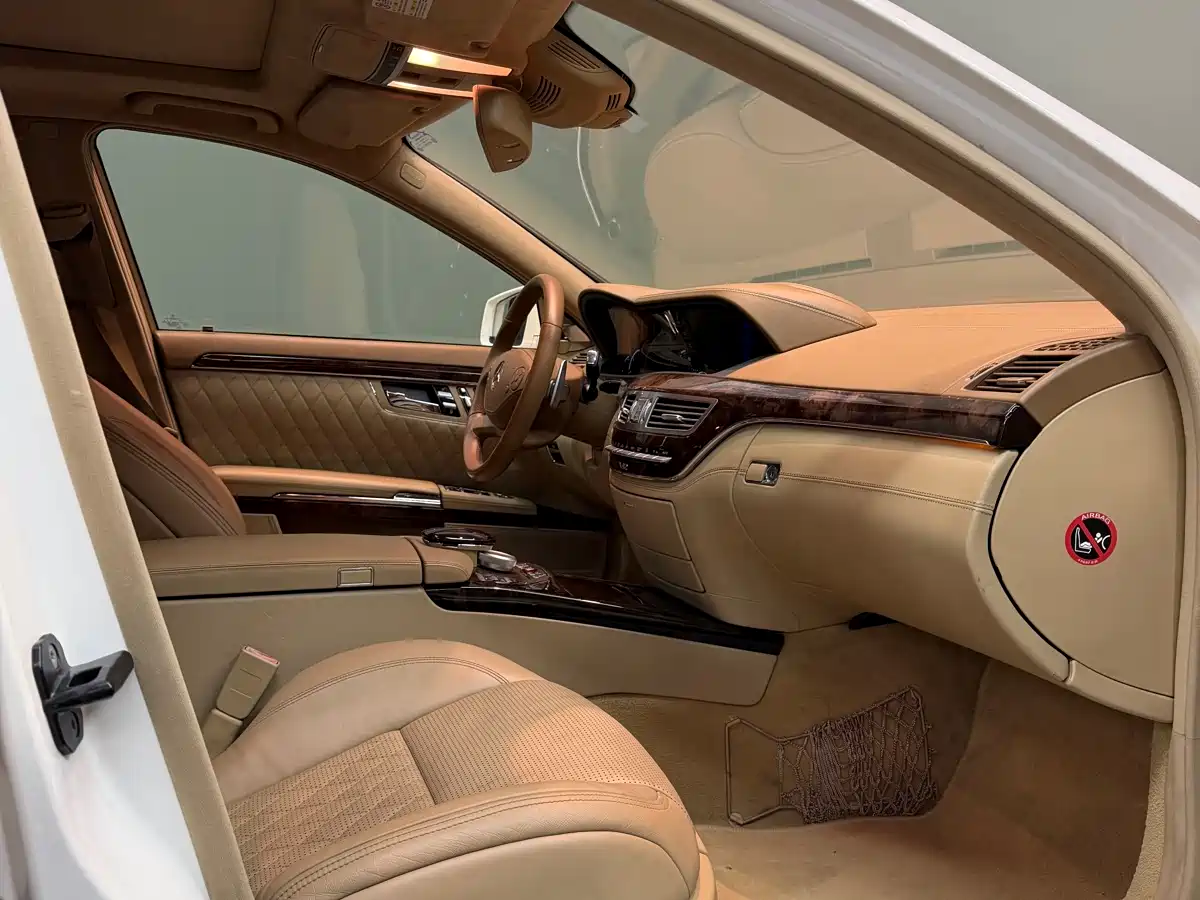 Mercedes-Benz S-Class AMG 2010 AMG S 65 фото 14