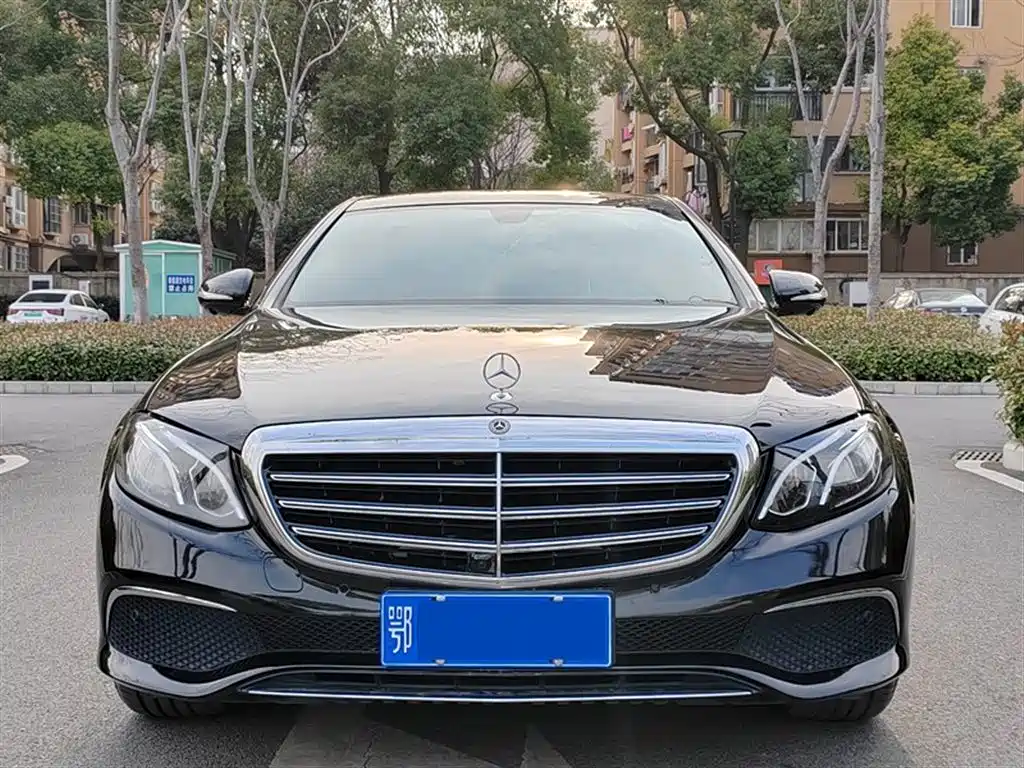 Mercedes-Benz E-Class 2019 E 300 L Fashion фото 2