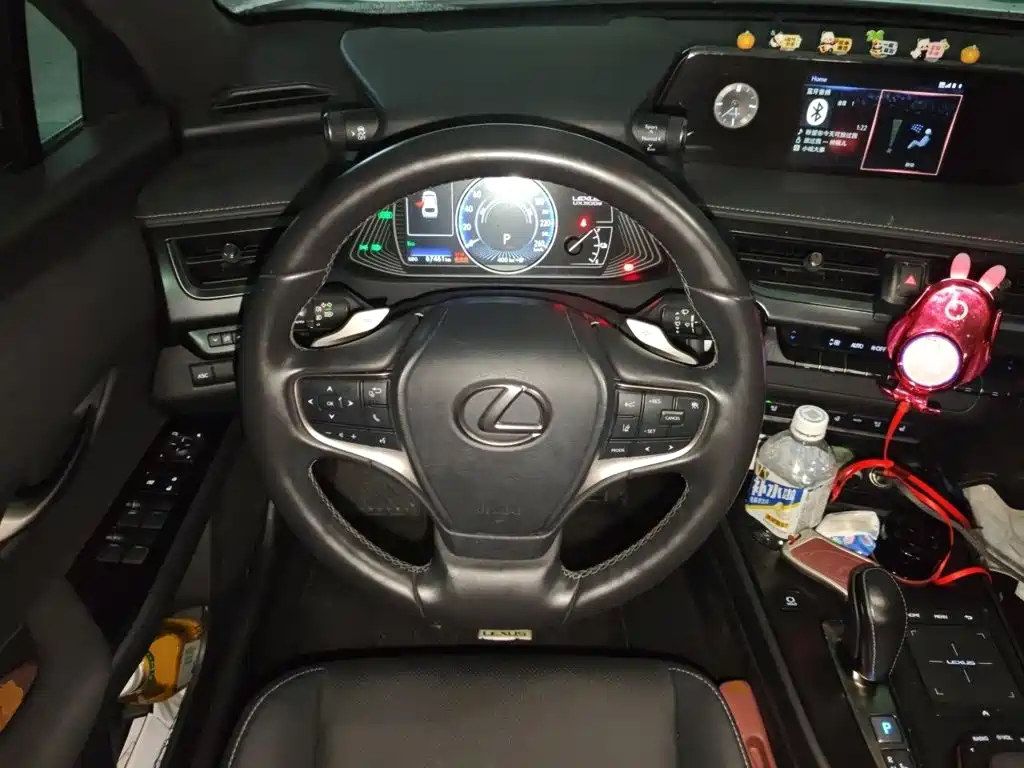 Lexus UX Electric 2021 2020 300e Pure Yue Edition