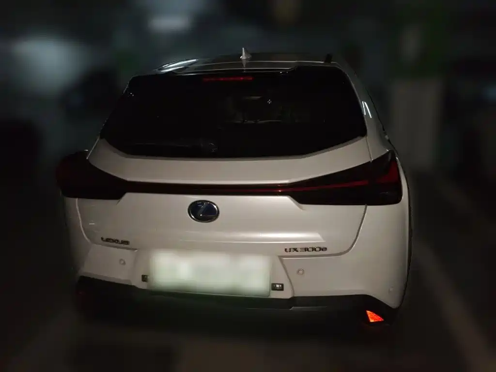 Lexus UX Electric 2021 2020 300e Pure Yue Edition