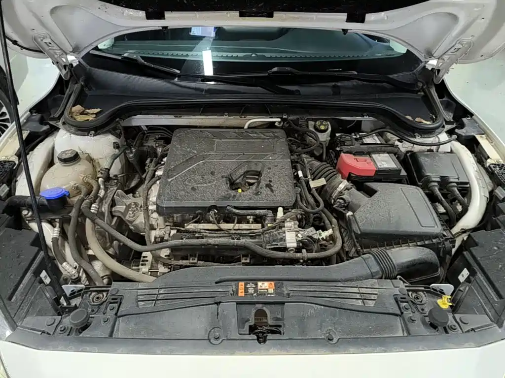 Ford Focus 2022 2021 Hatchback EcoBoost 180 Auto Trend