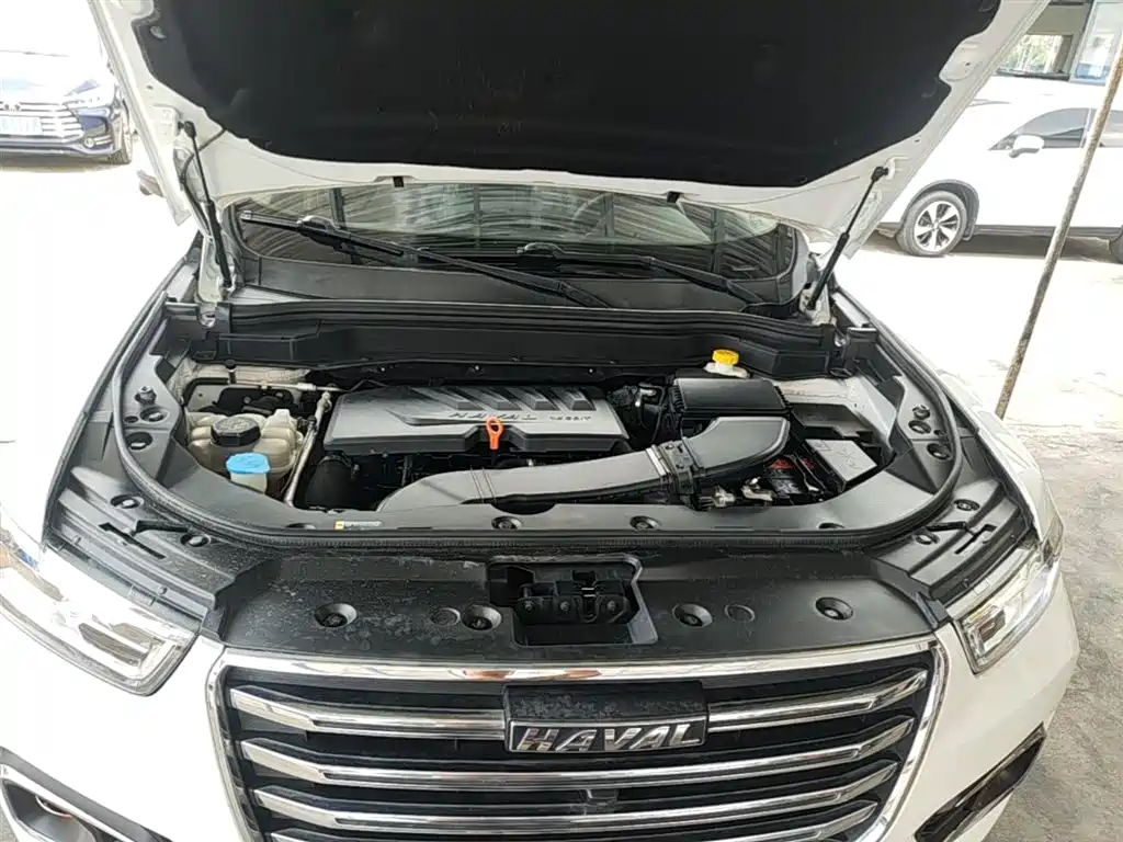 Haval H6 2020 1.5GDIT Automatic Platinum Champion Edition фото 20